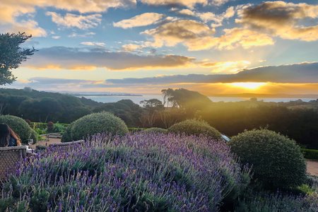 Waiheke Island