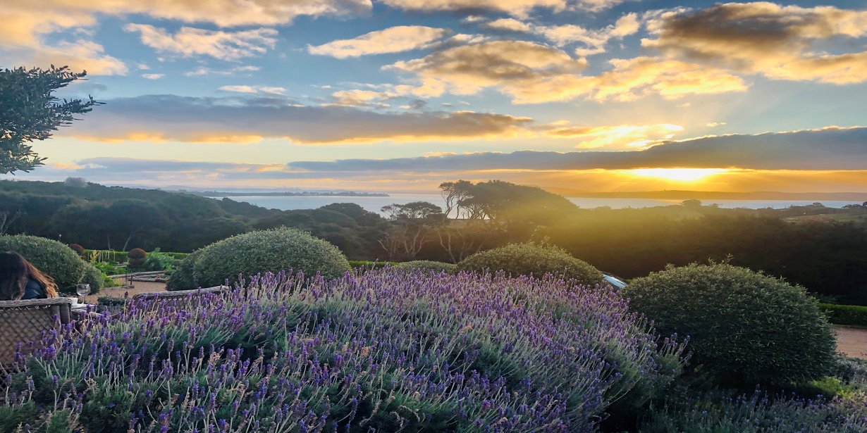 Waiheke Island