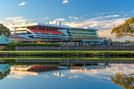 flamington racecource x