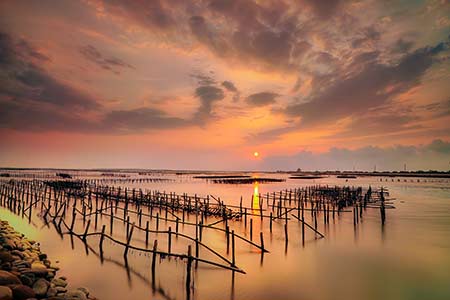 barilla bay oyster farm