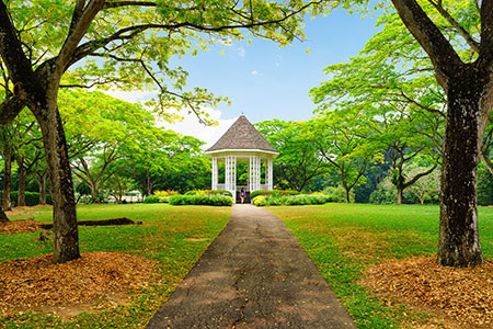 singapore botanic garden x