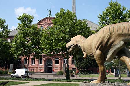 senckenberg naturmuseum frankfurt