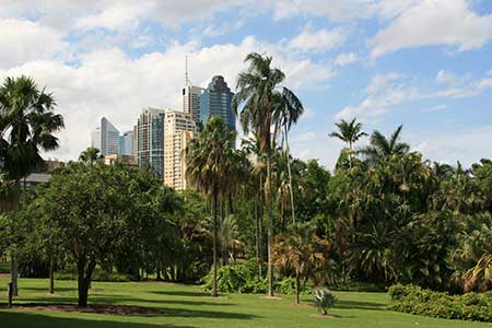 brisbane botanic gardens