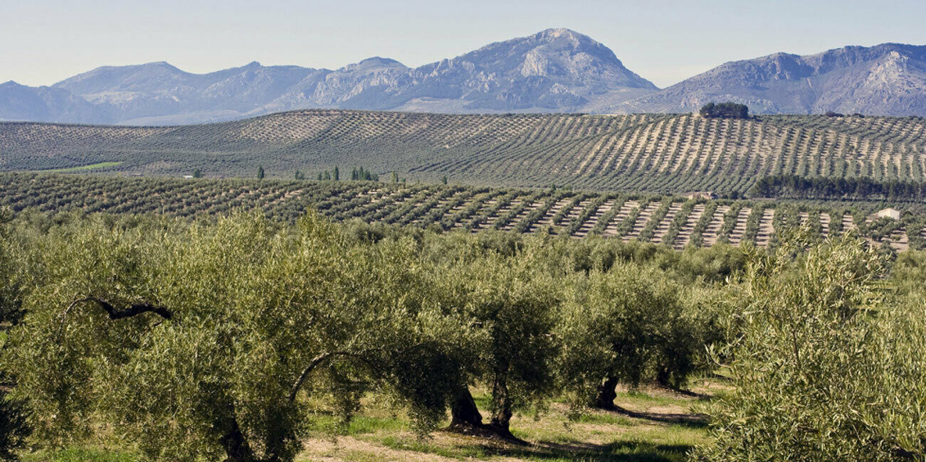 Eco Care Andalusian landscape