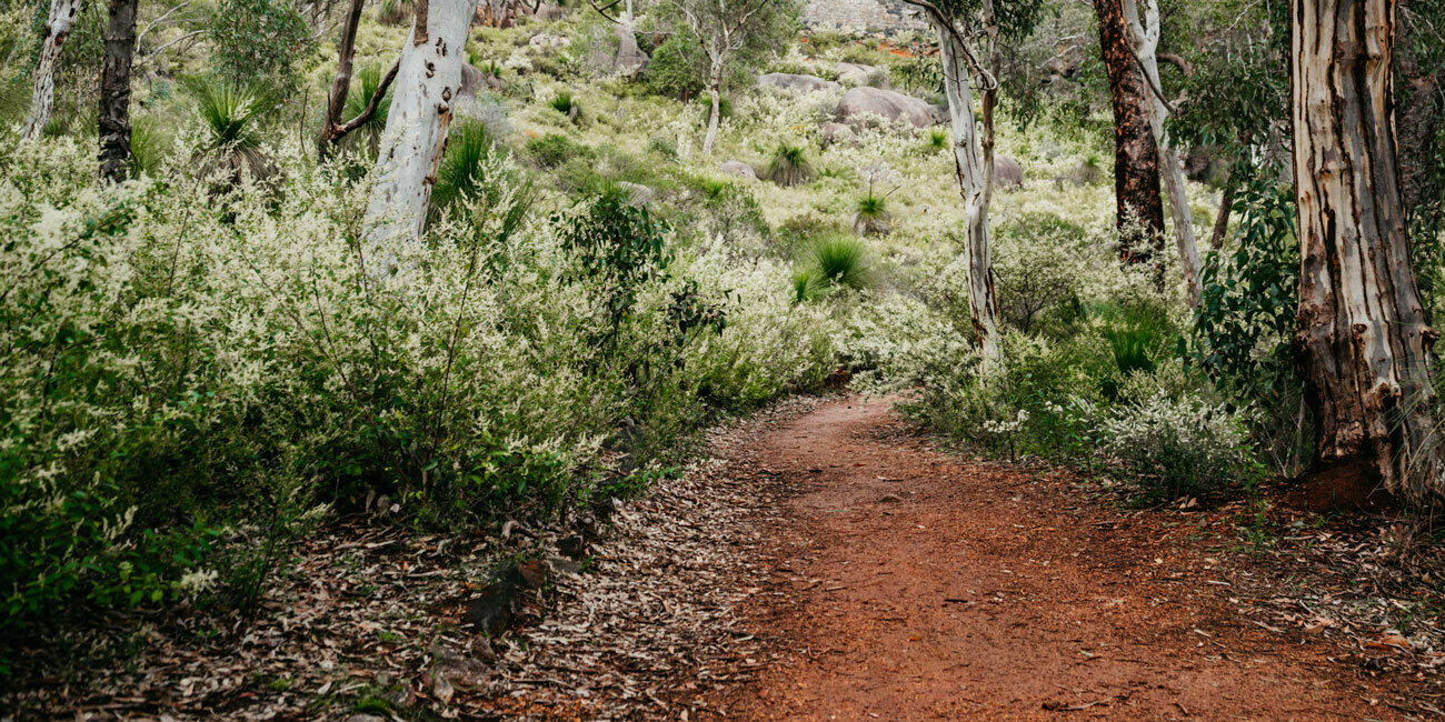 Walk Trail John Forrest National Park Perth hills