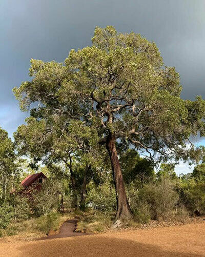 St Swithuns Spirituality 3