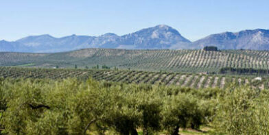 Eco Care Andalusian landscape thumb
