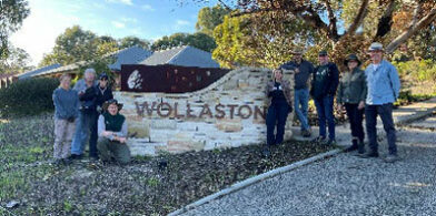 Eco Care at Wollaston