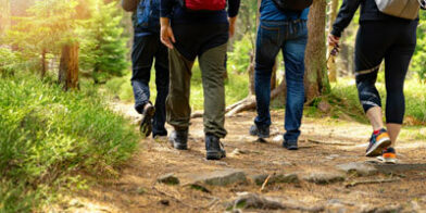 Walking Nature adventures thumb