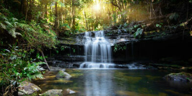 Waterfall and greenery thumb