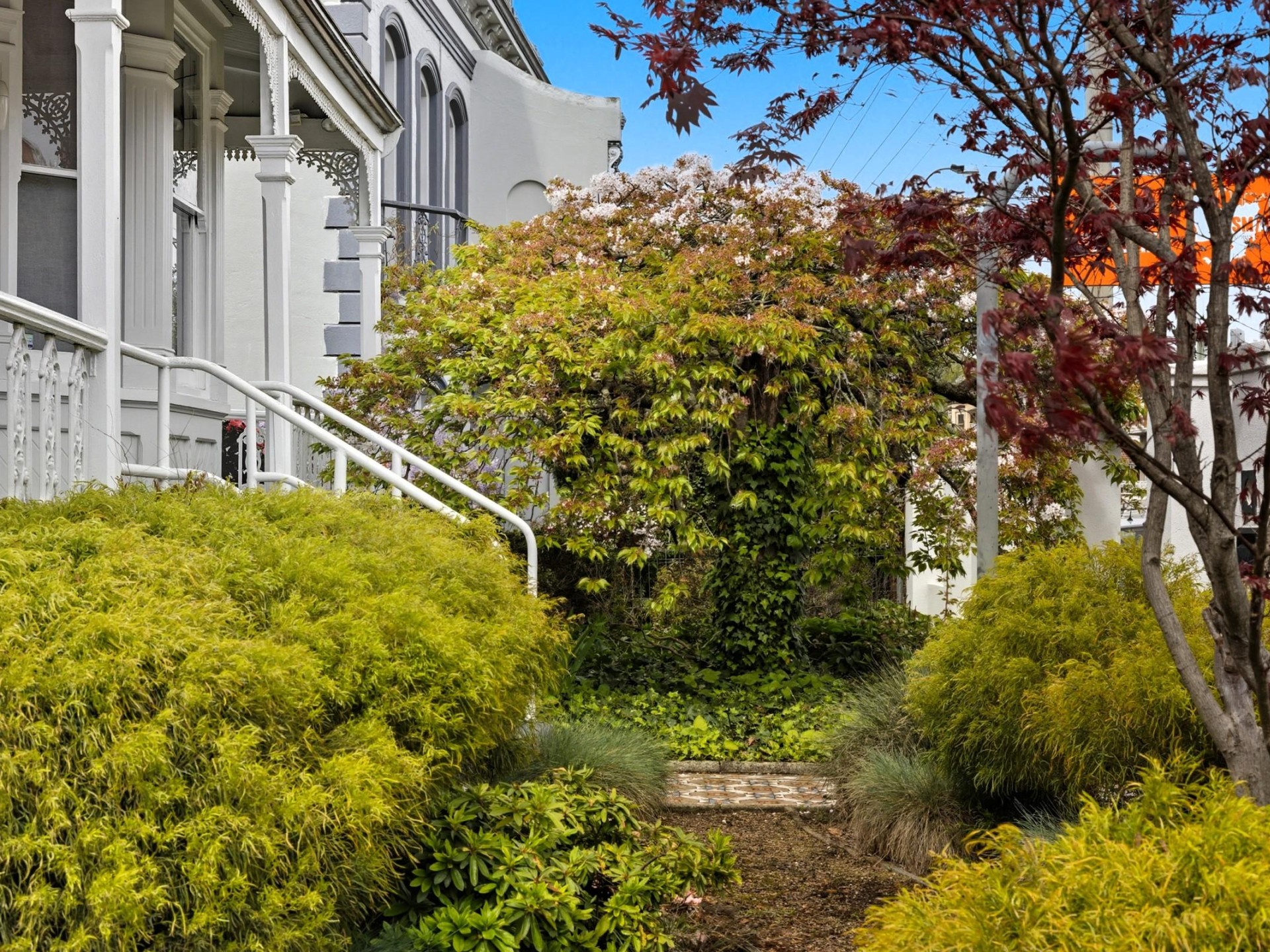 Prime Location Residence with Income or 3 BnB lets (stca) or Health Professional Rooms