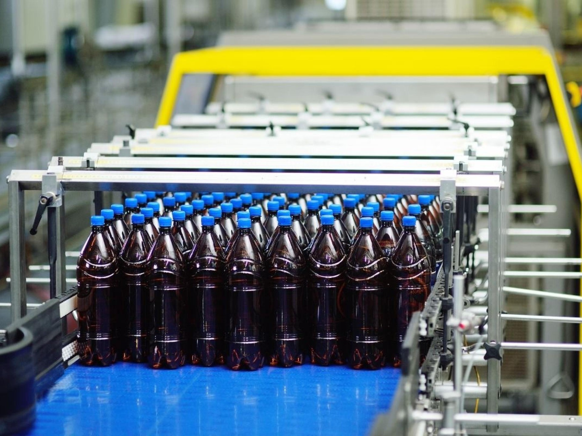 E-Commerce Beverage Production Business in the Idyllic Tea Gardens/Hawks Nest Region