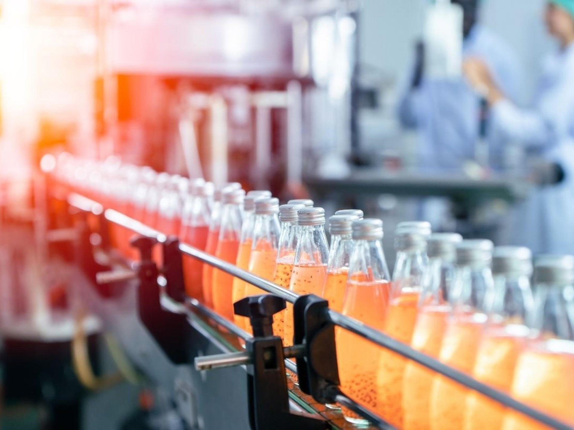 E-commerce Beverage Production Business In The Idyllic Tea Gardens/haw..