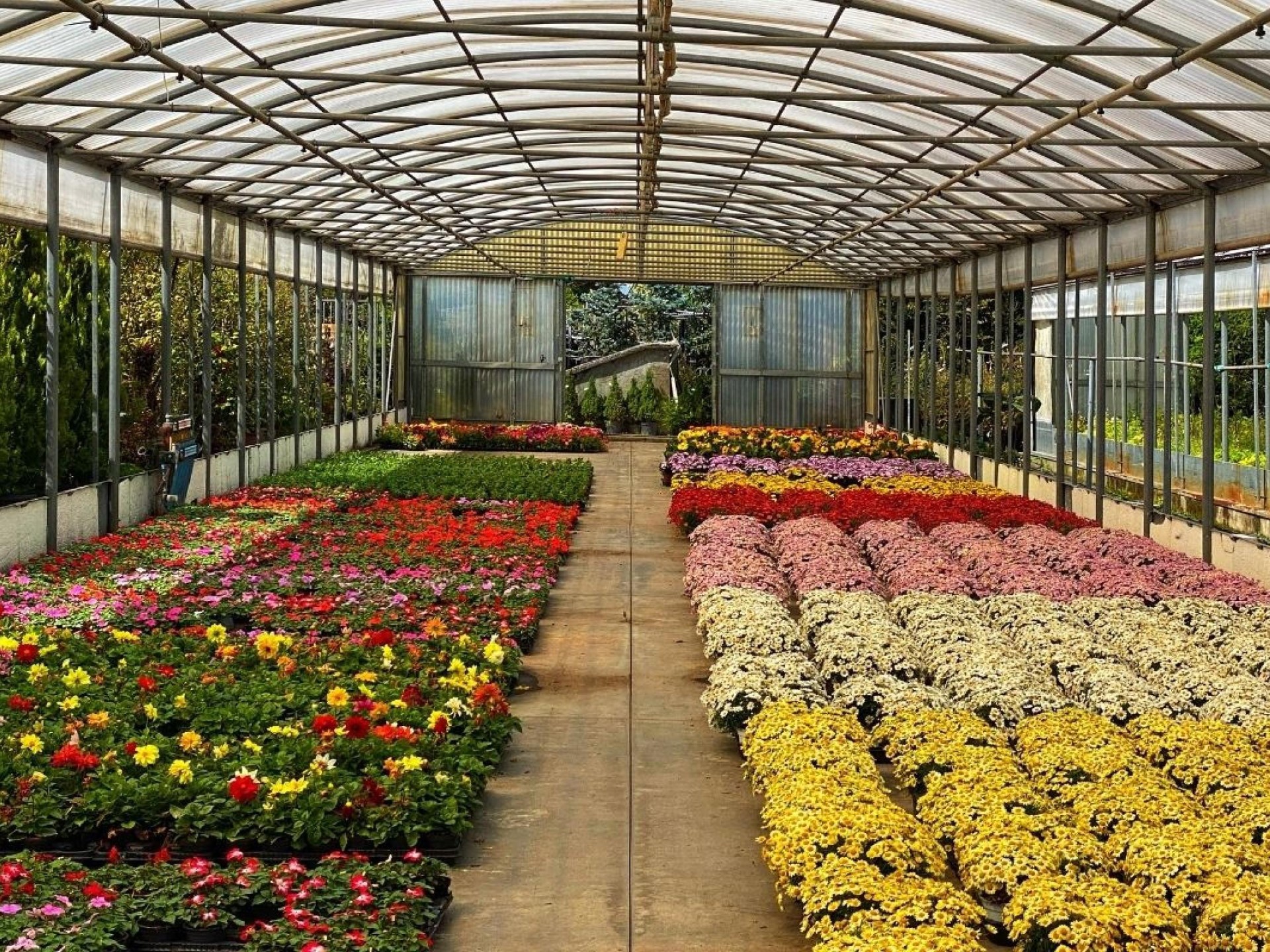 Horticulture, Nursery and Agriculture Businesses for Sale.