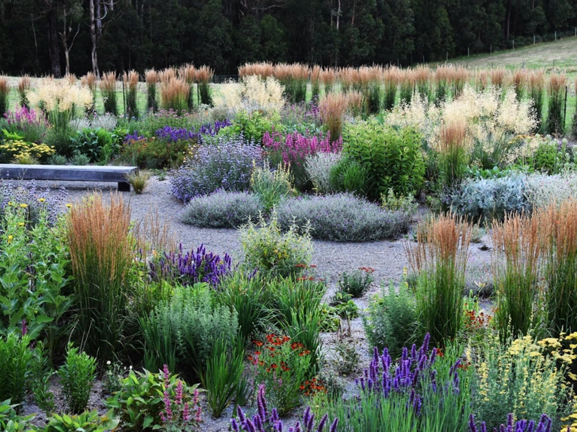 Wholesale & Retail Nursery | Established Perennials Nursery Opportunity | VIC