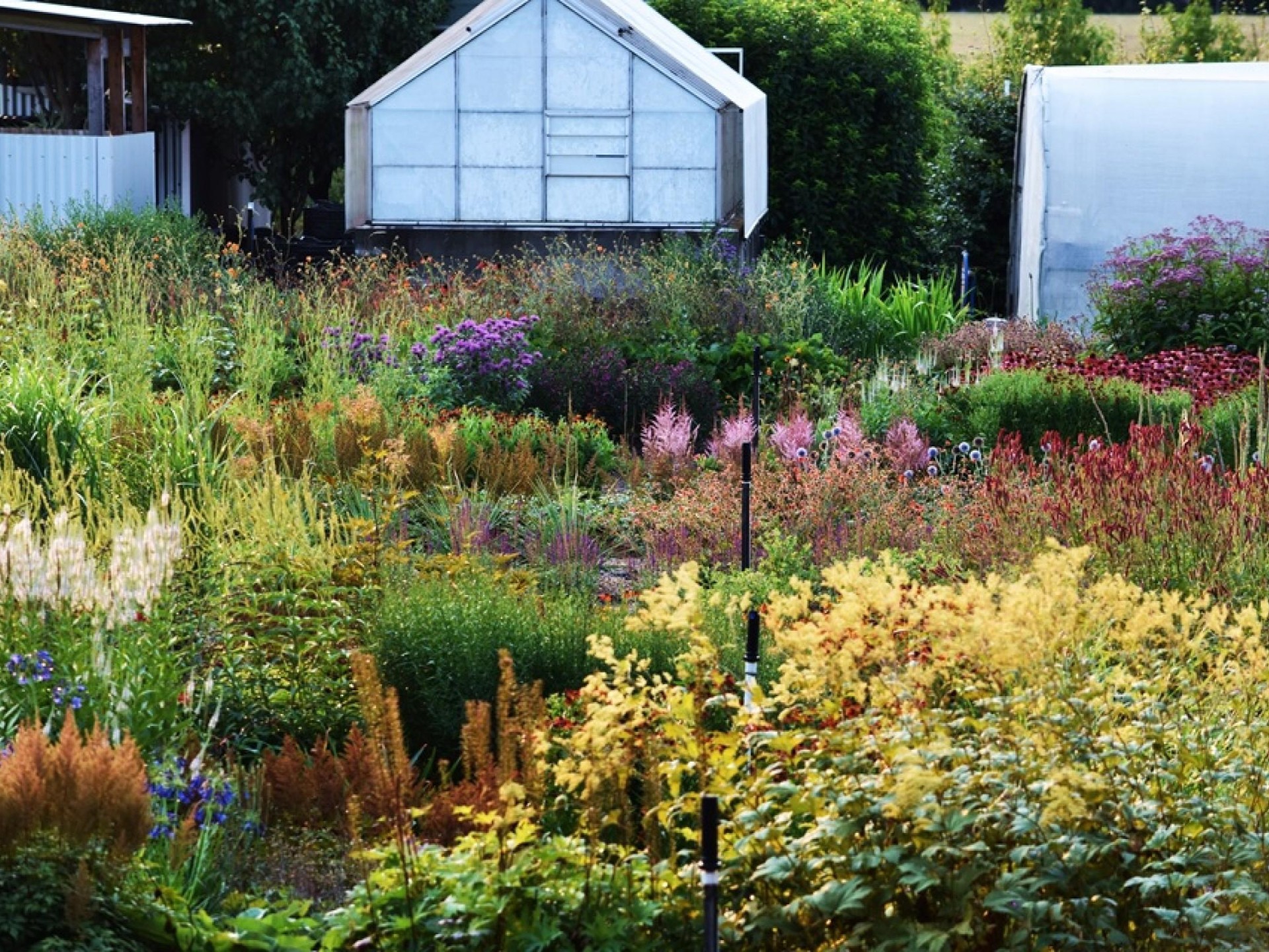 Wholesale & Retail Nursery | Established Perennials Nursery Opportunity | VIC