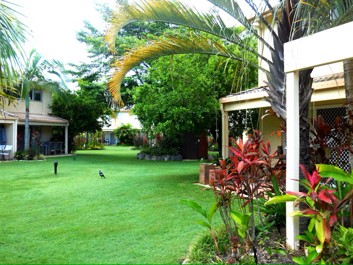 Drop in Price,  lifestyle and Profitable Noosaville Management Rights