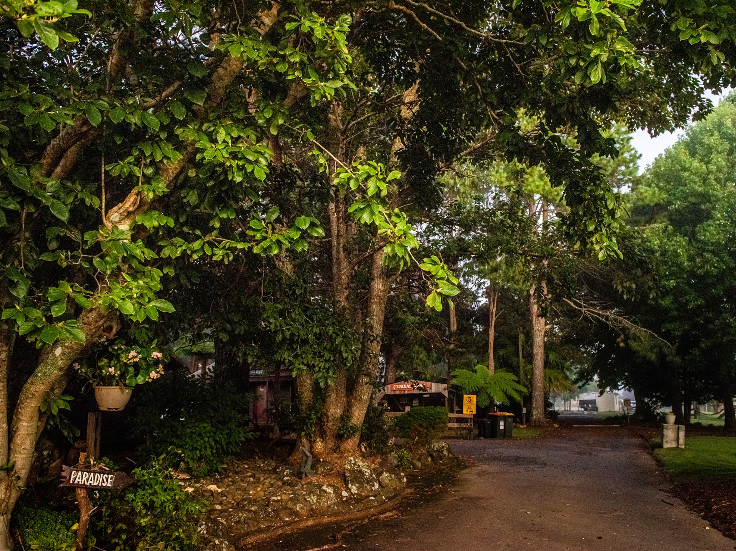 STRATEGIC FREEHOLD TOURISM PARK IN HIGH-GROWTH NATURE DESTINATION - 222CPF
