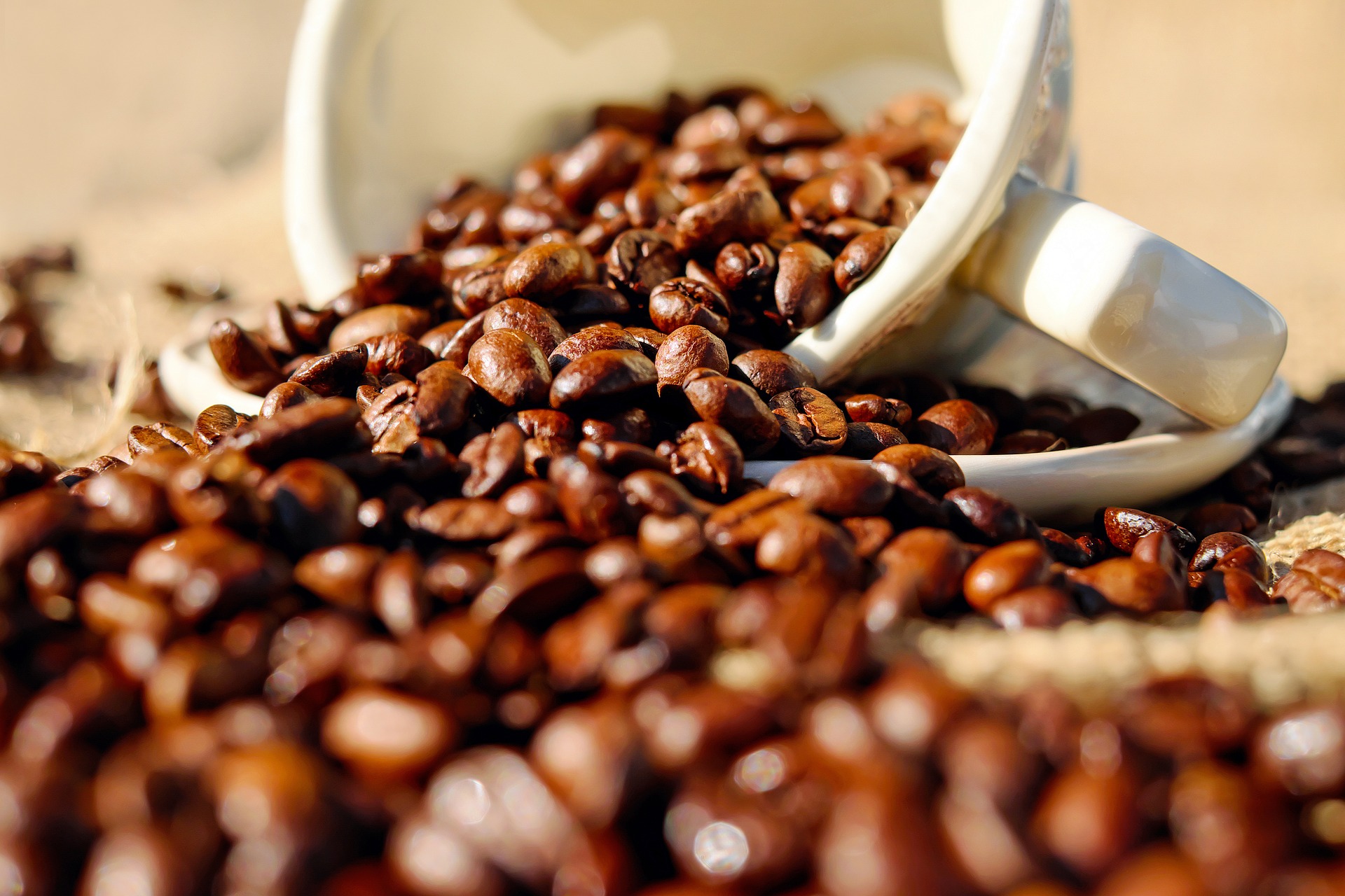 Premium Caf Business for Sale