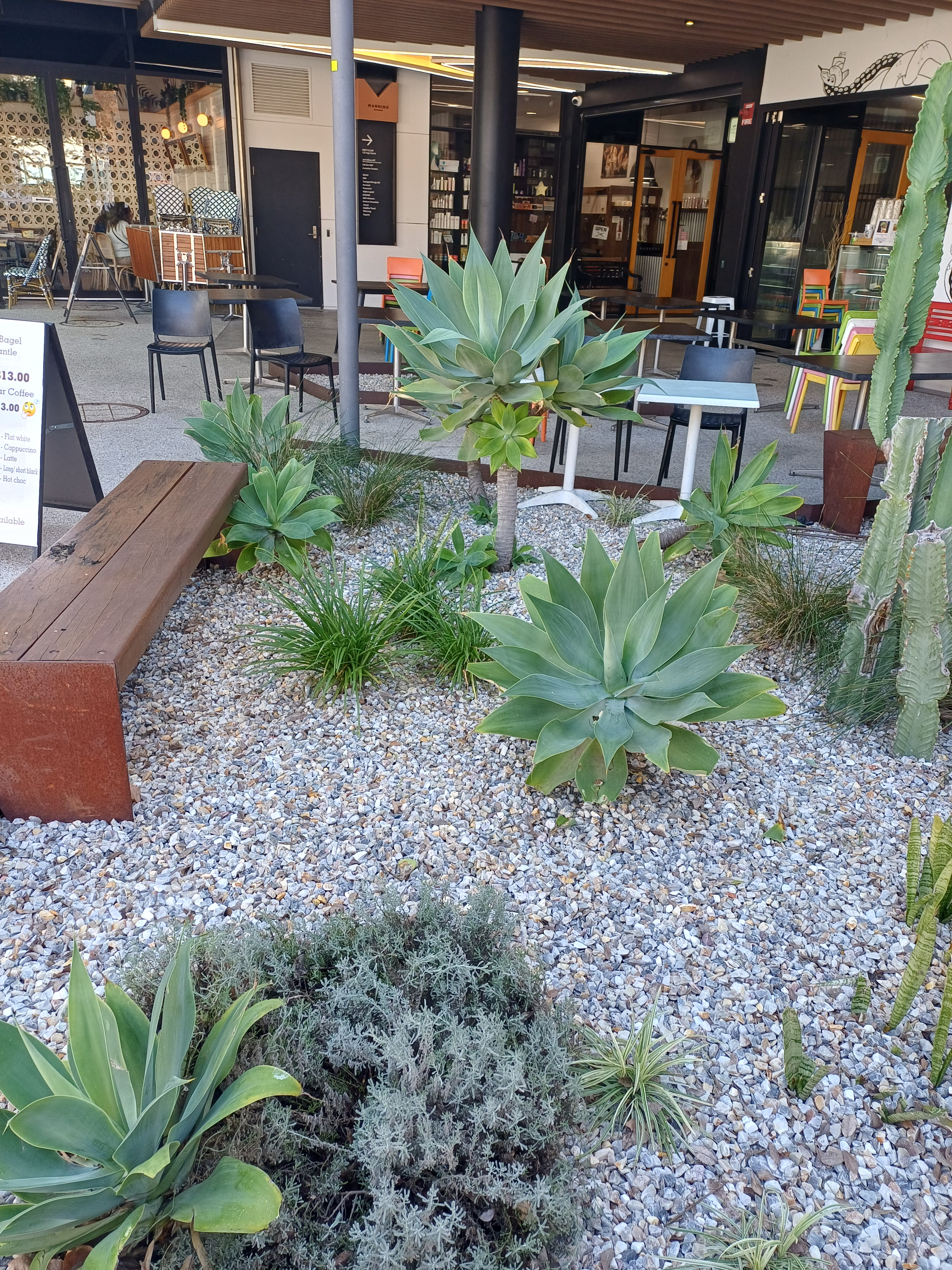 Beautifully Presented Cafe / Coffee - Fremantle