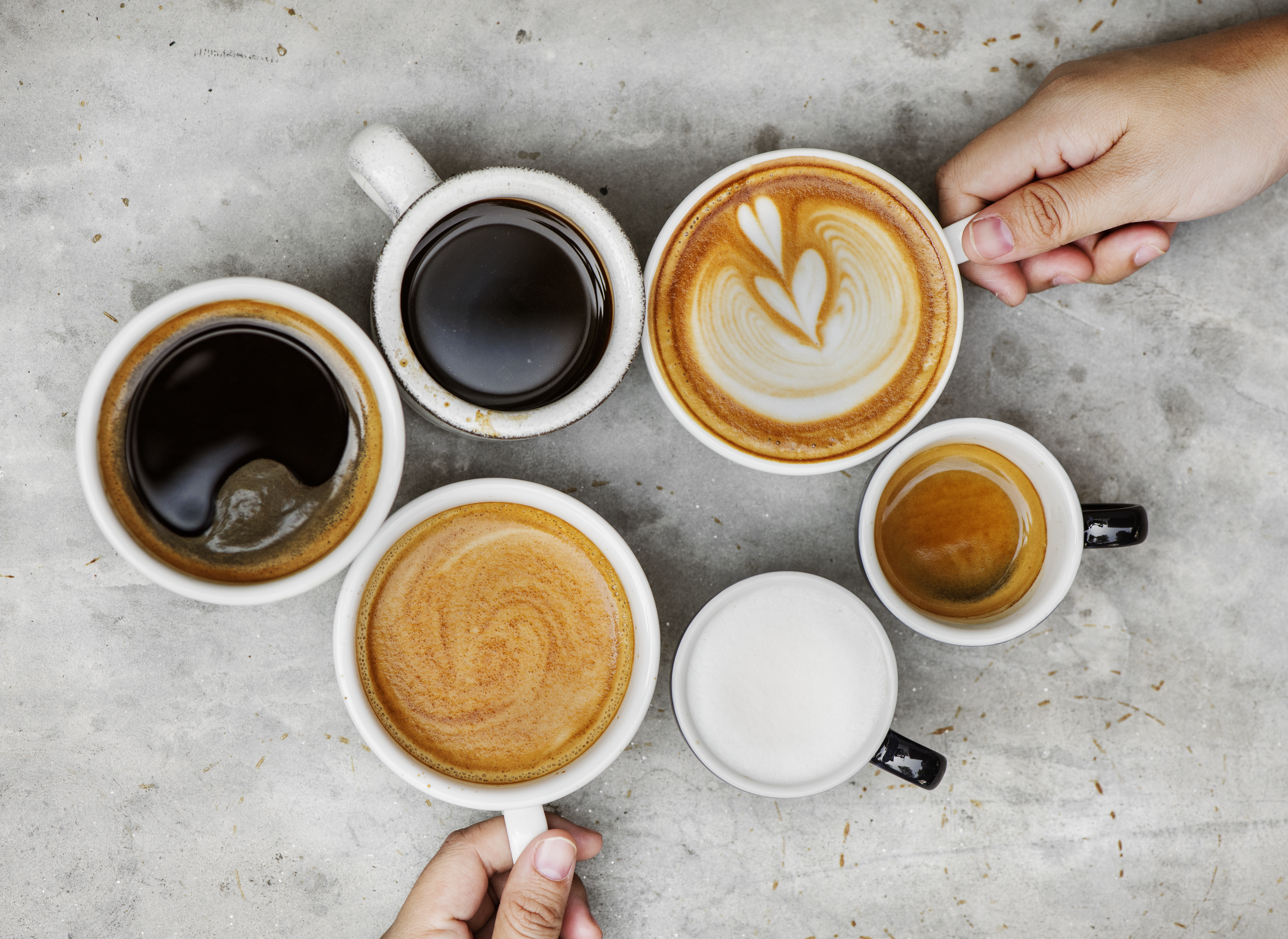 Well-Presented Cafe & Coffee Opportunity in a Prime Location