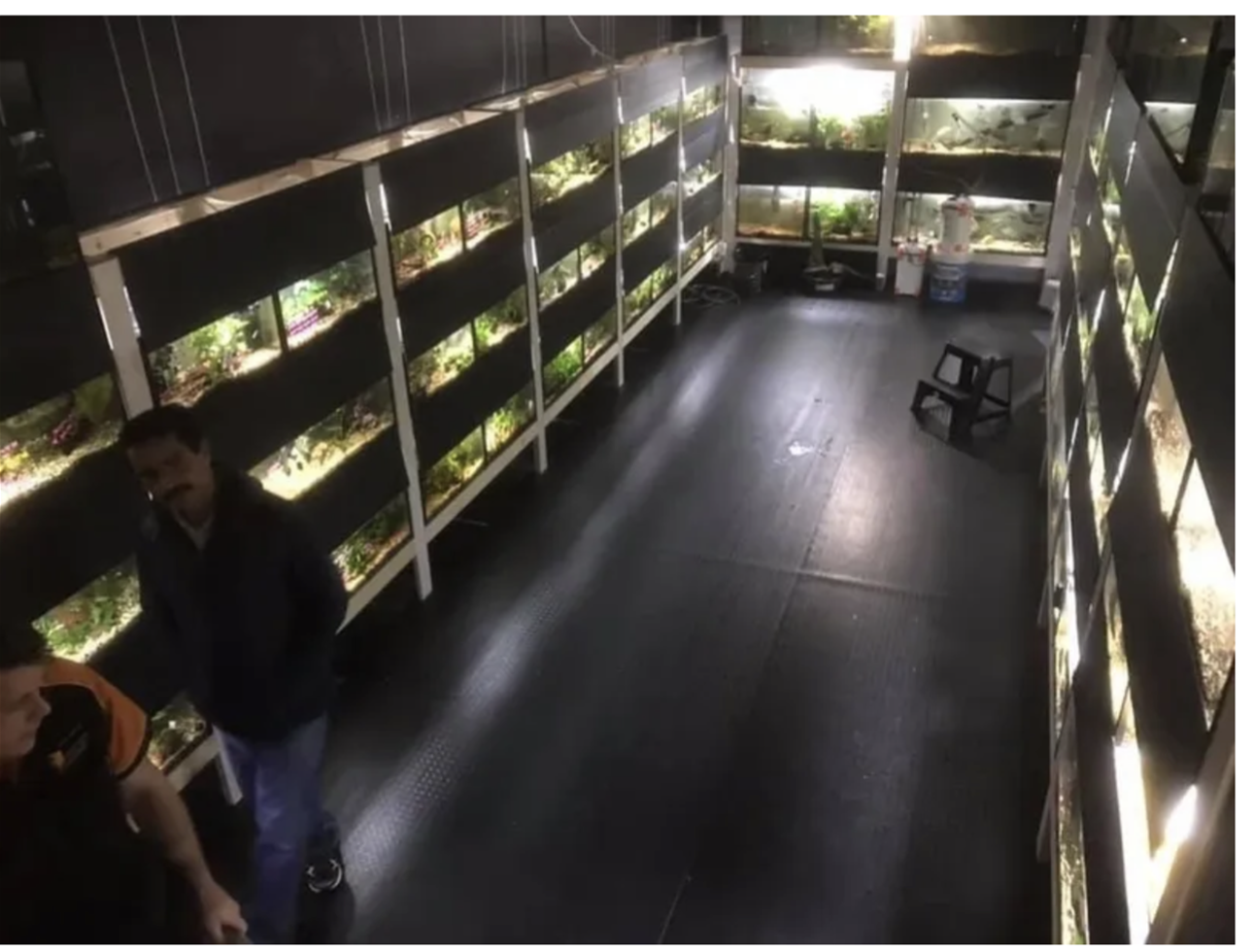 Established Aquarium & Pet Retail Business - Strong Profits
