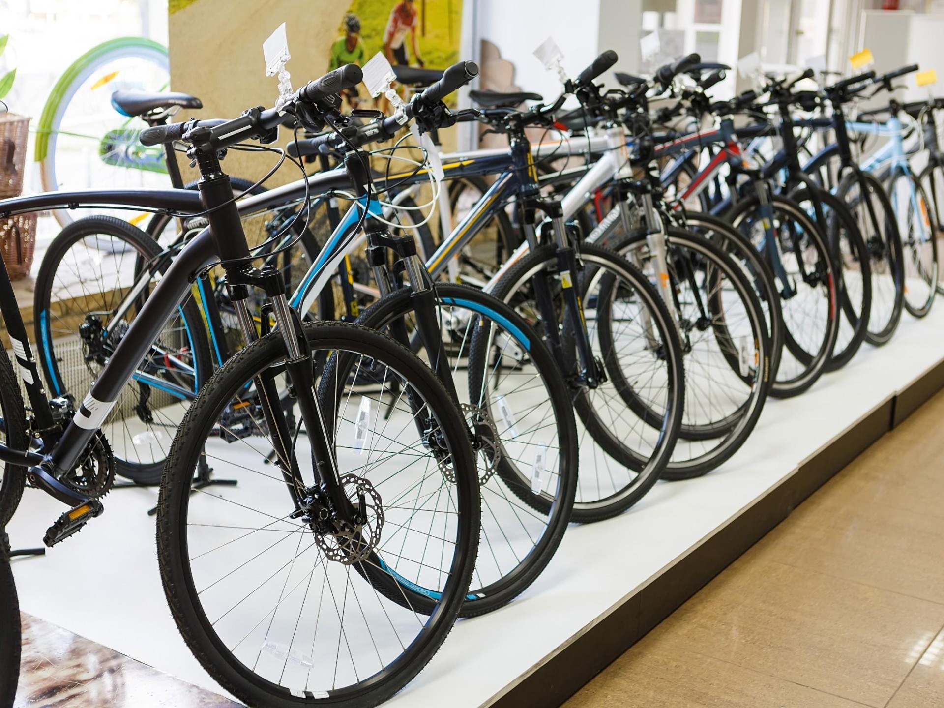 Bicycle Retailer and Workshop
