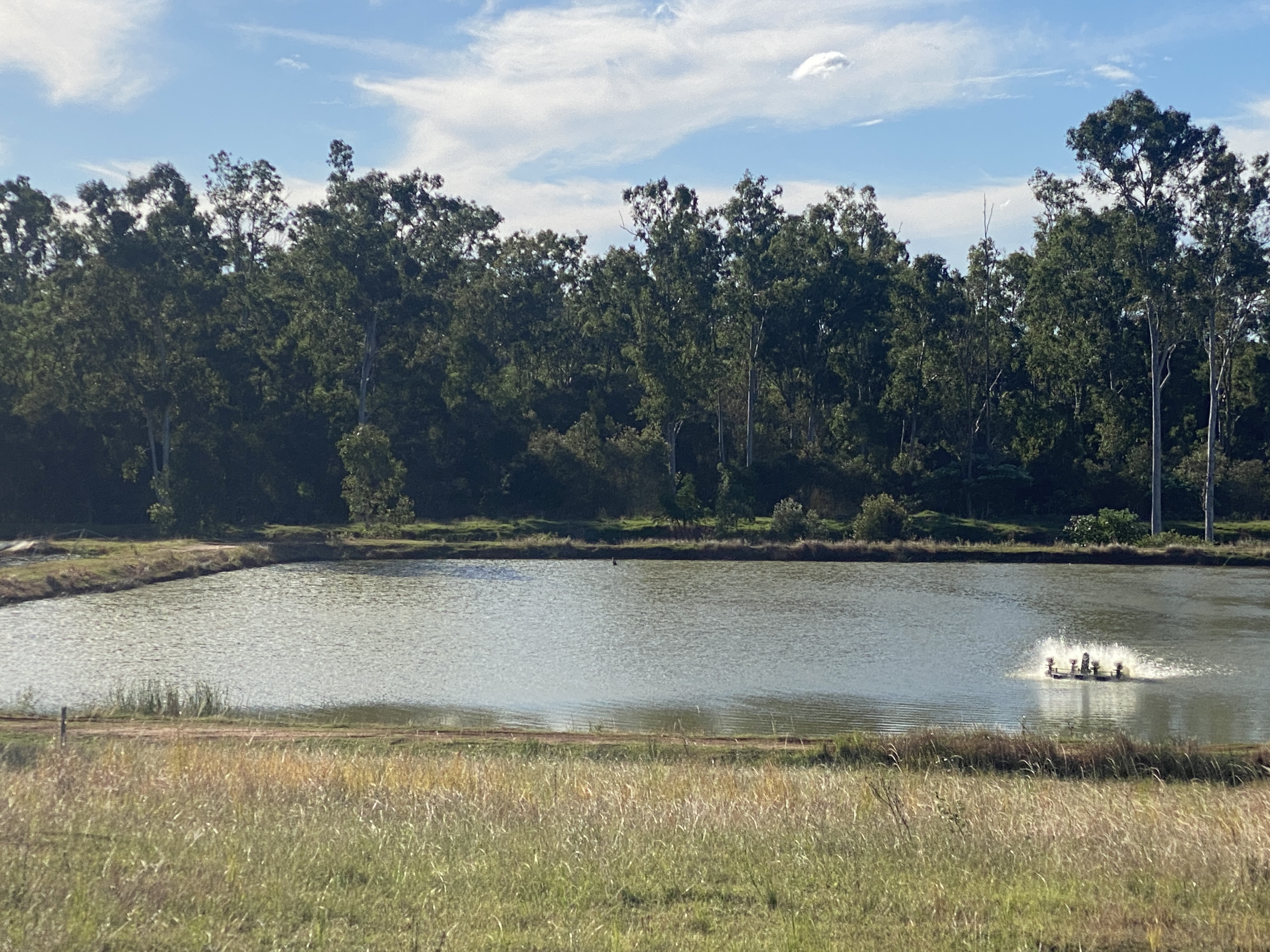 Established Freshwater Fish Hatchery & Supplier