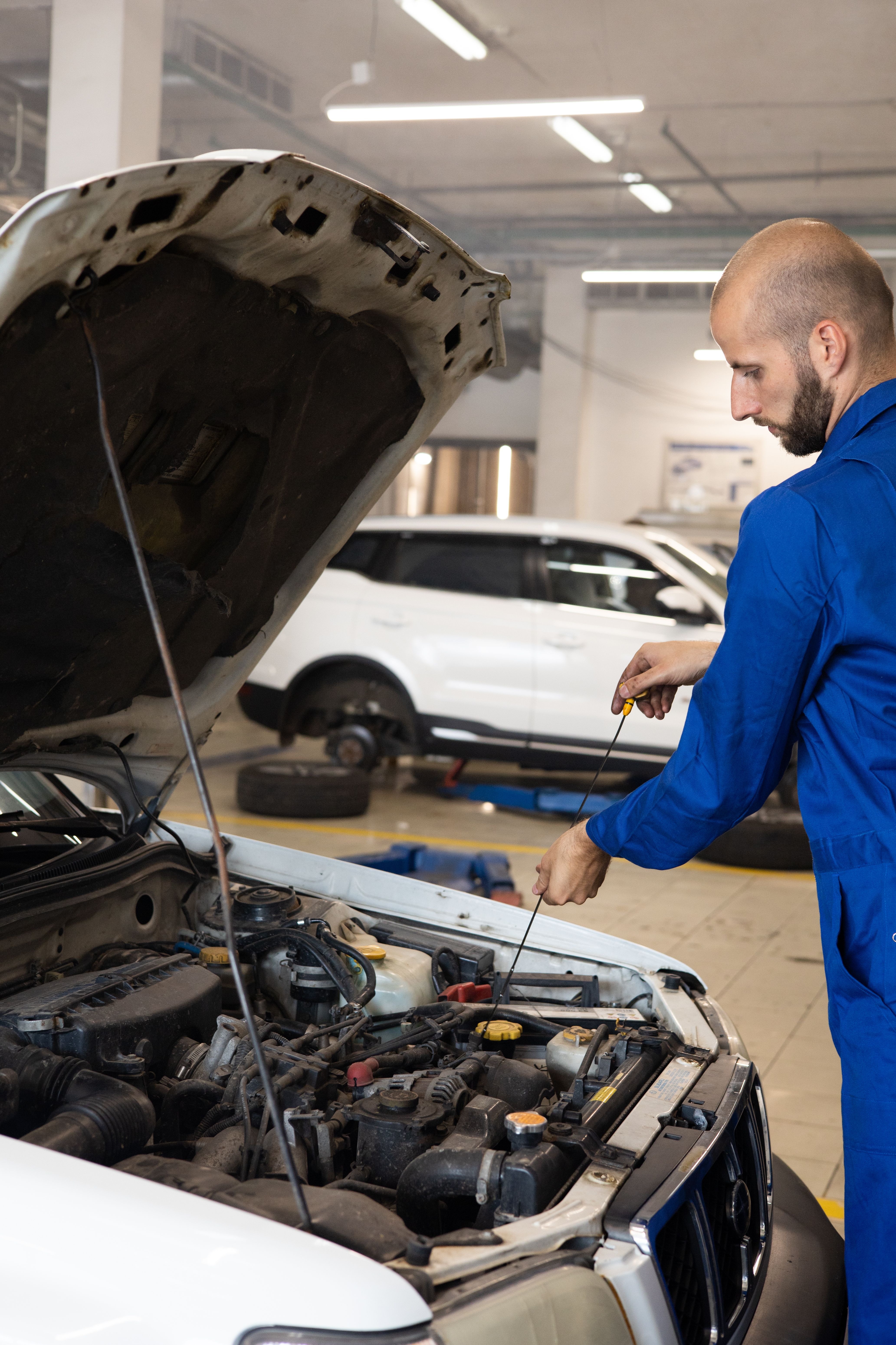 Prime Automotive Service Business Opportunity