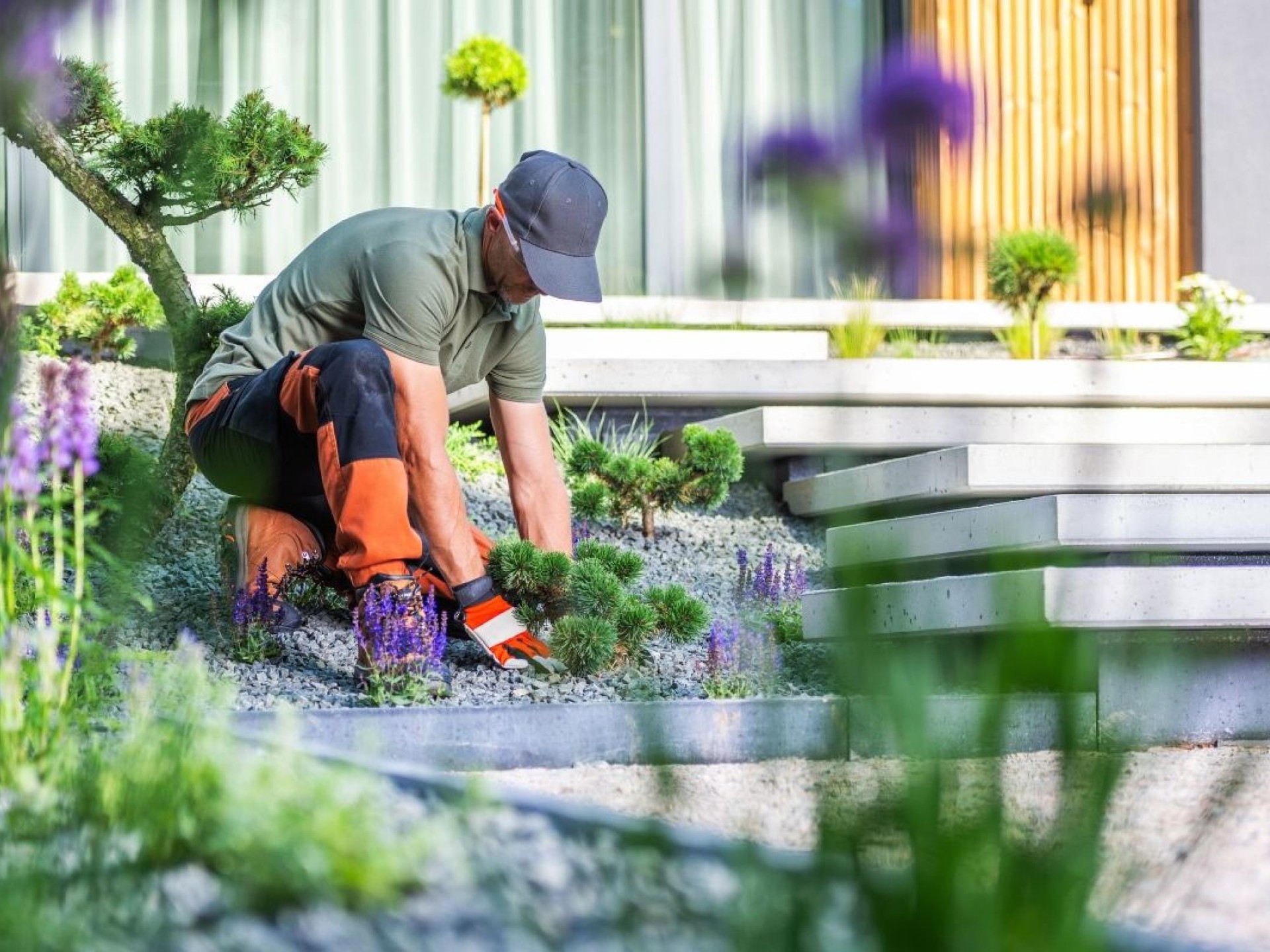 Combined Horticulture & Landscaping Enterprise | FY26 Revenue $9.23M | QLD