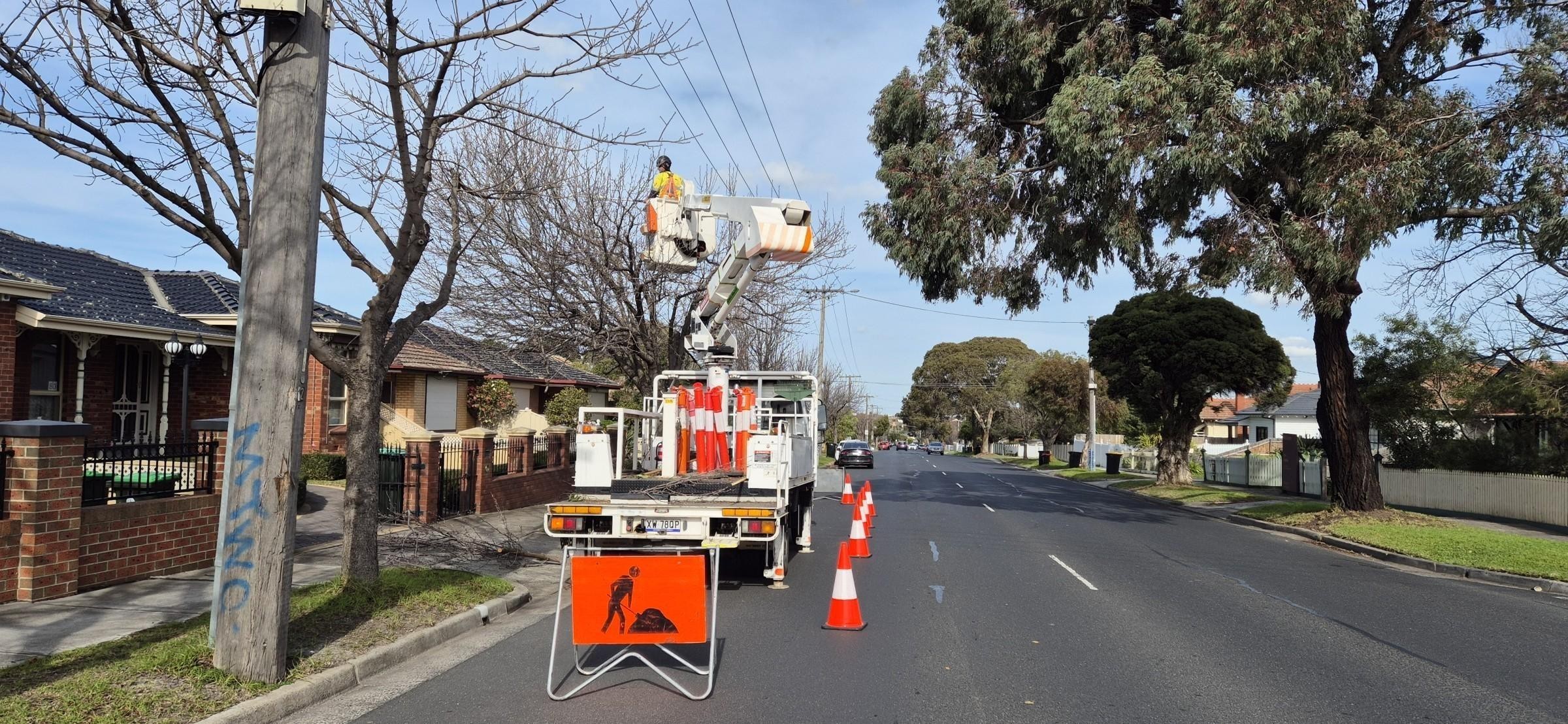 Vegetation Maintenance Municipal Contractor - EBS