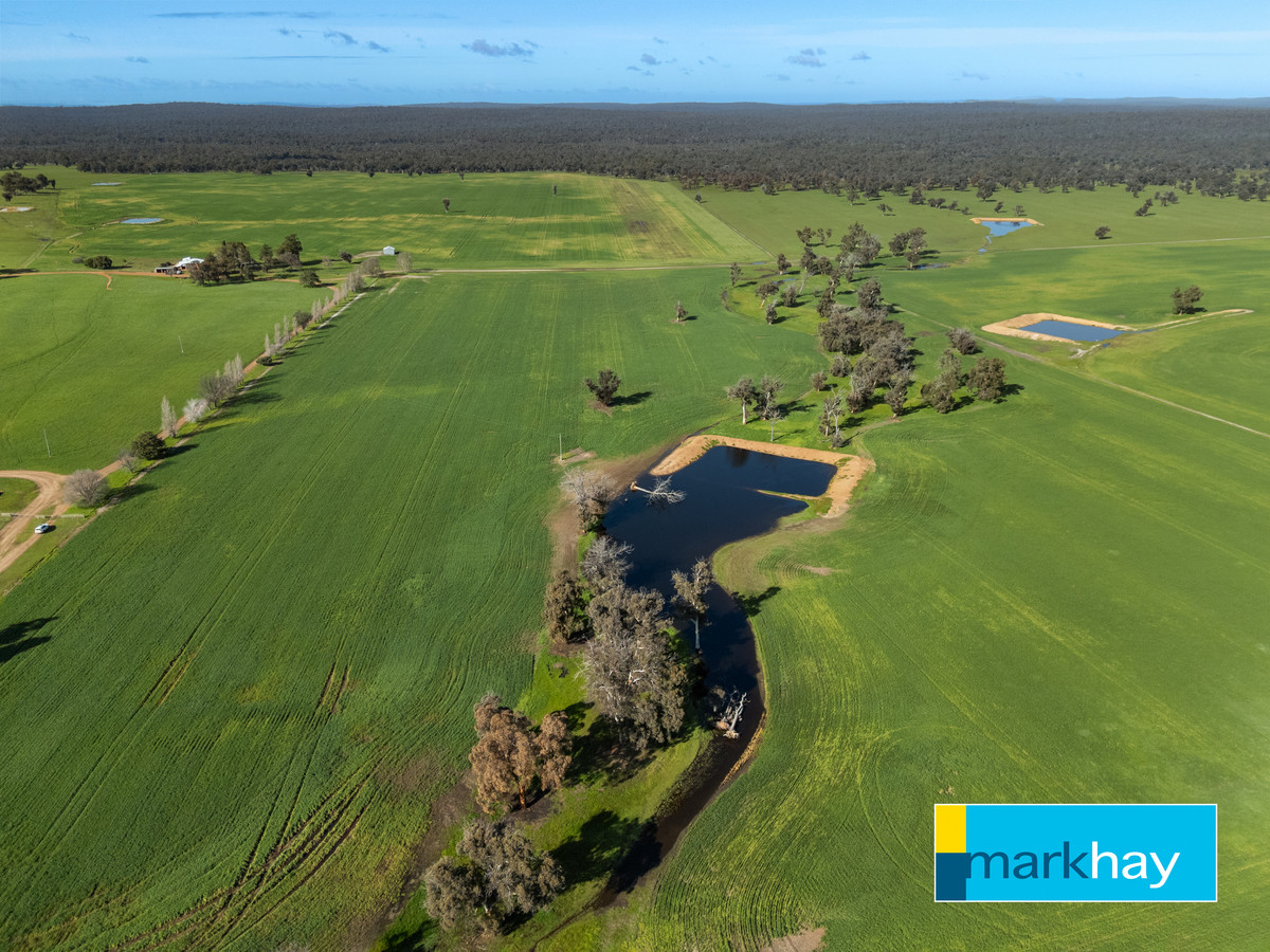 MASSIVE DROUGHT-PROOF LAND HOLDING WITH ABUNDANT WATER