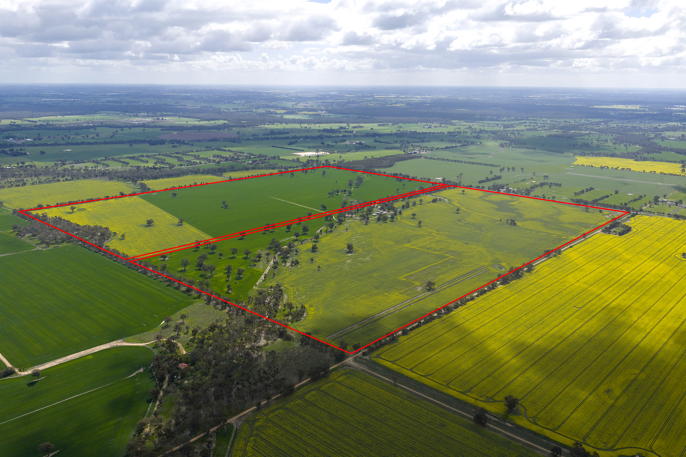 Arcadia District Cropping/Grazing