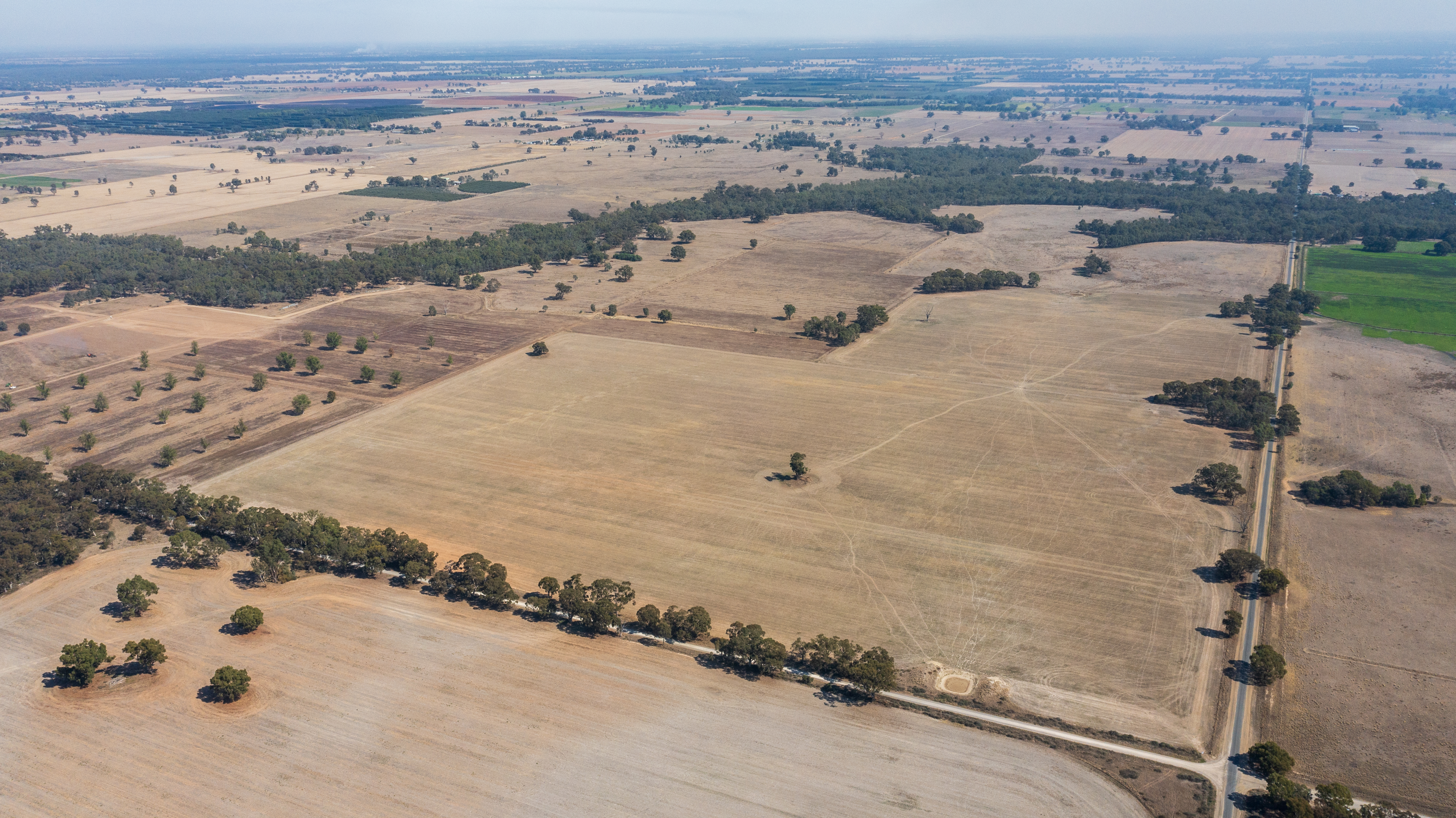 'Parklea'