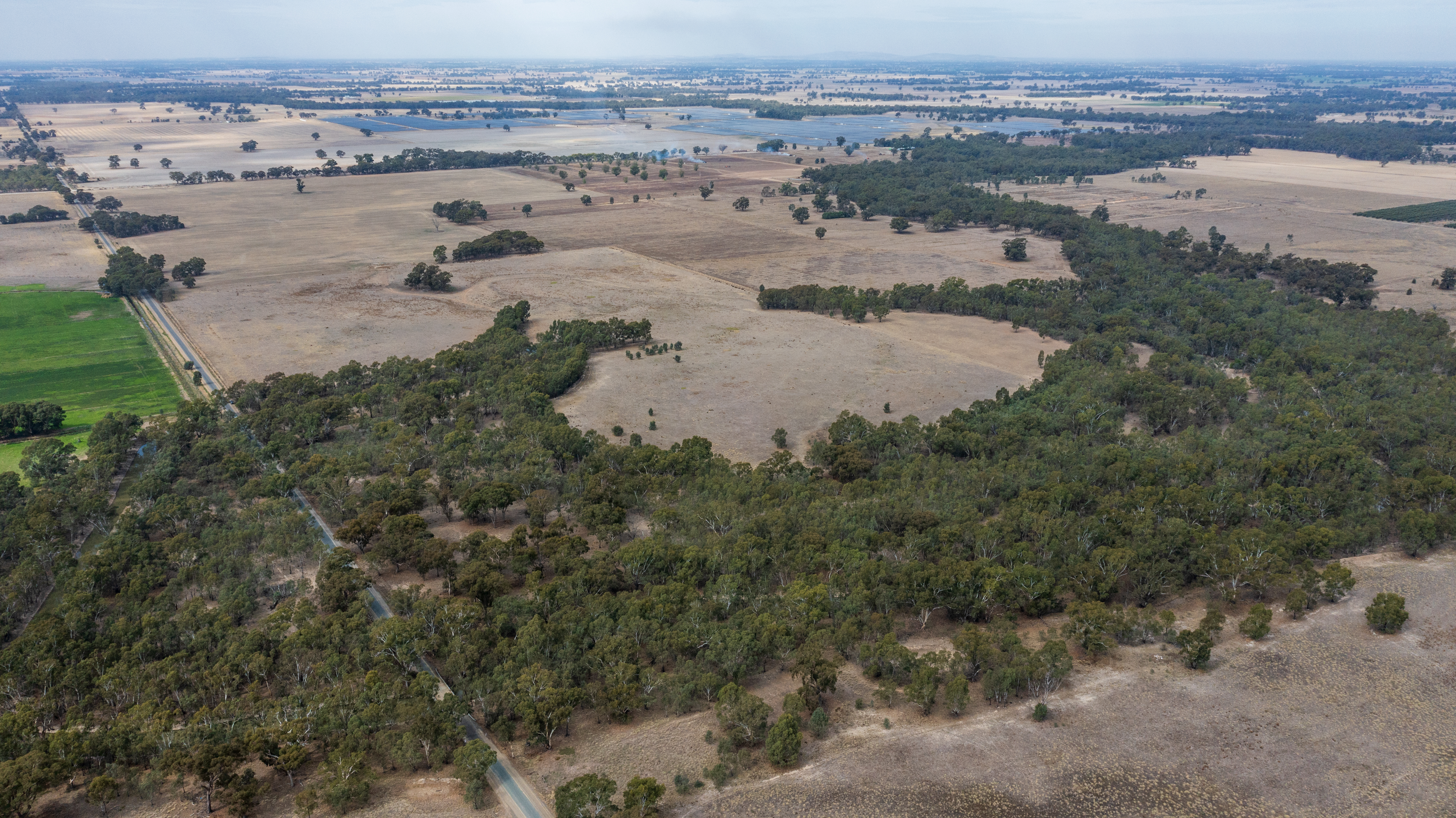'Parklea'