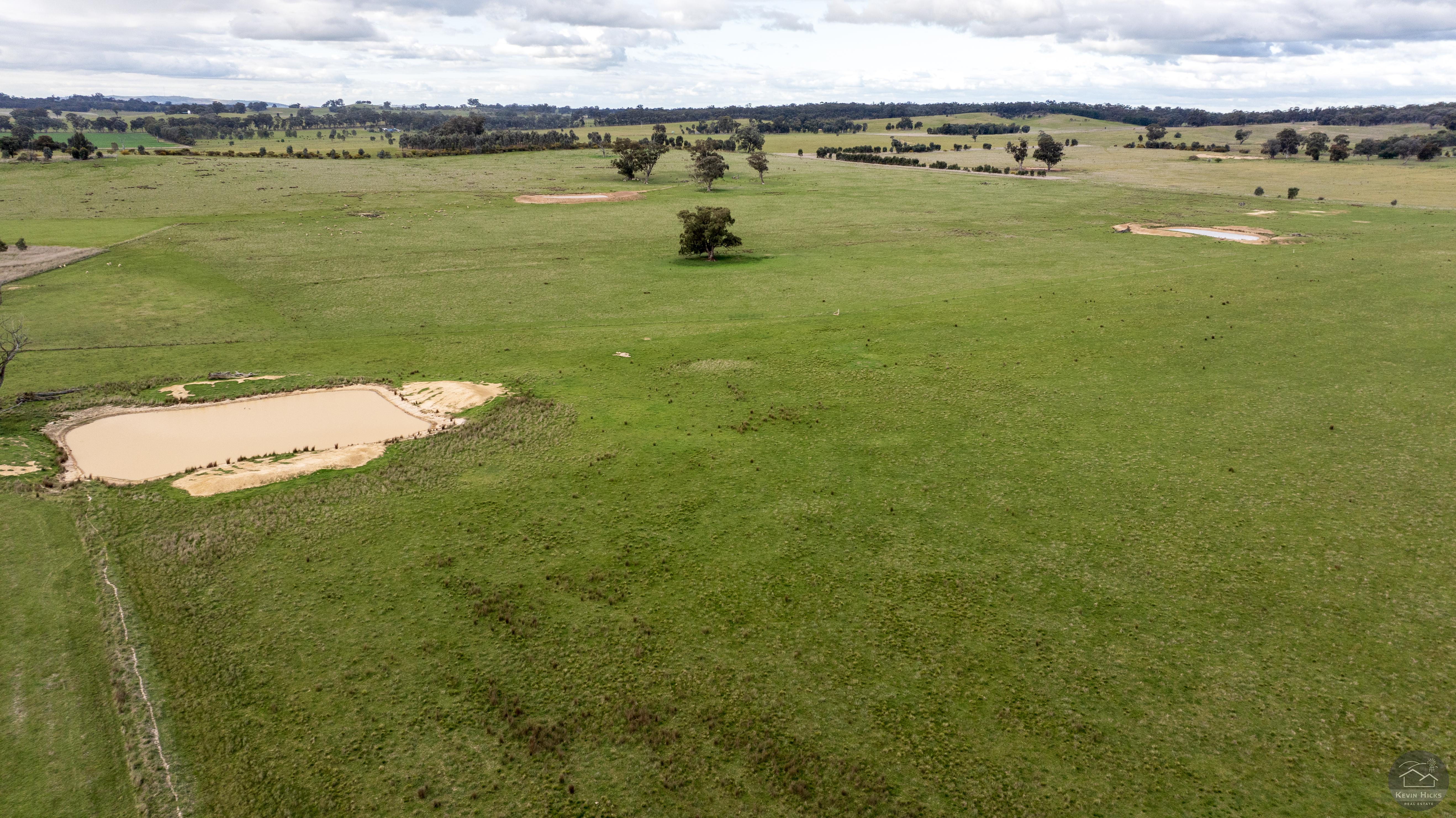 Outpaddock - 144 acres