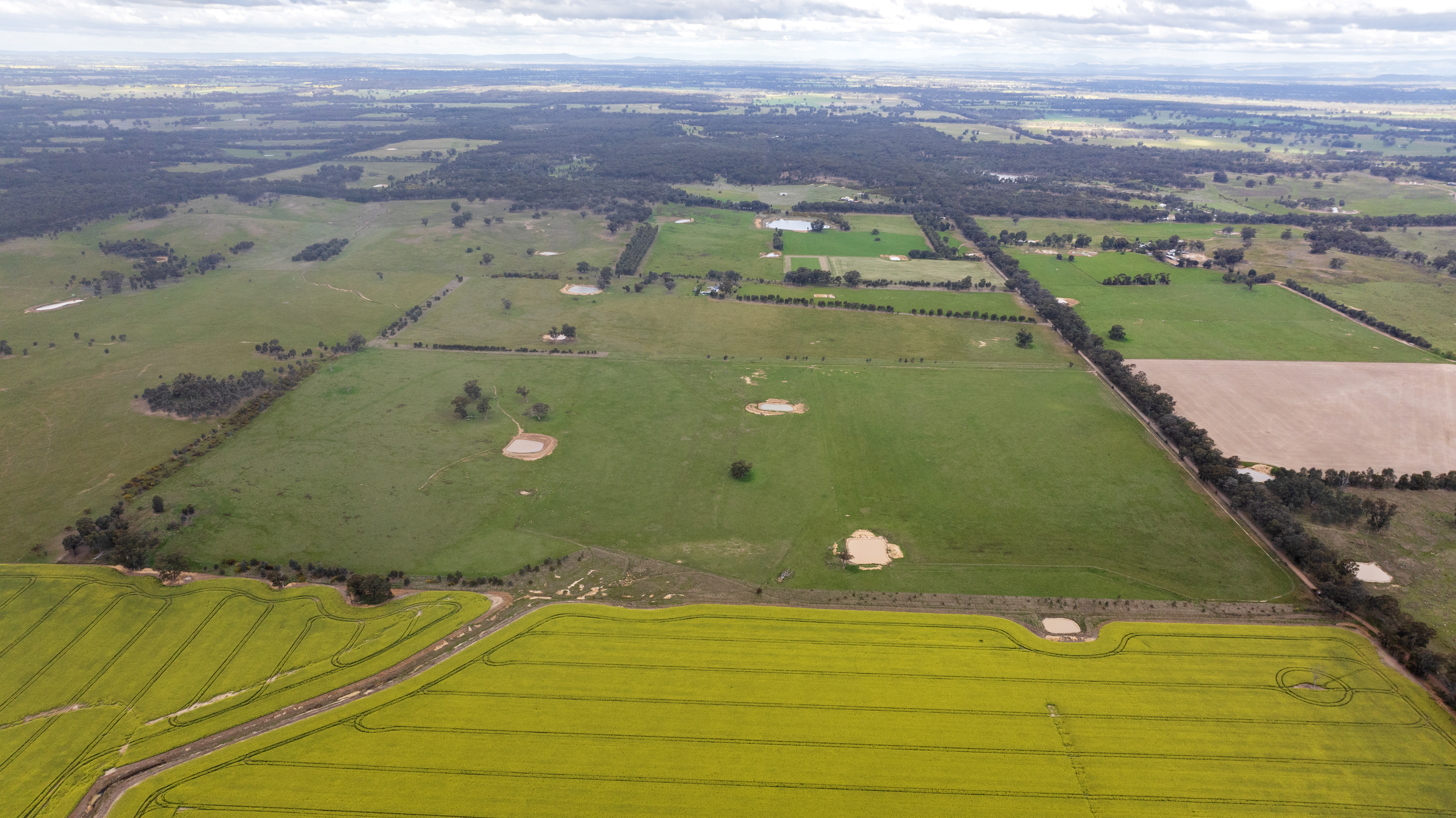 Outpaddock - 144 acres