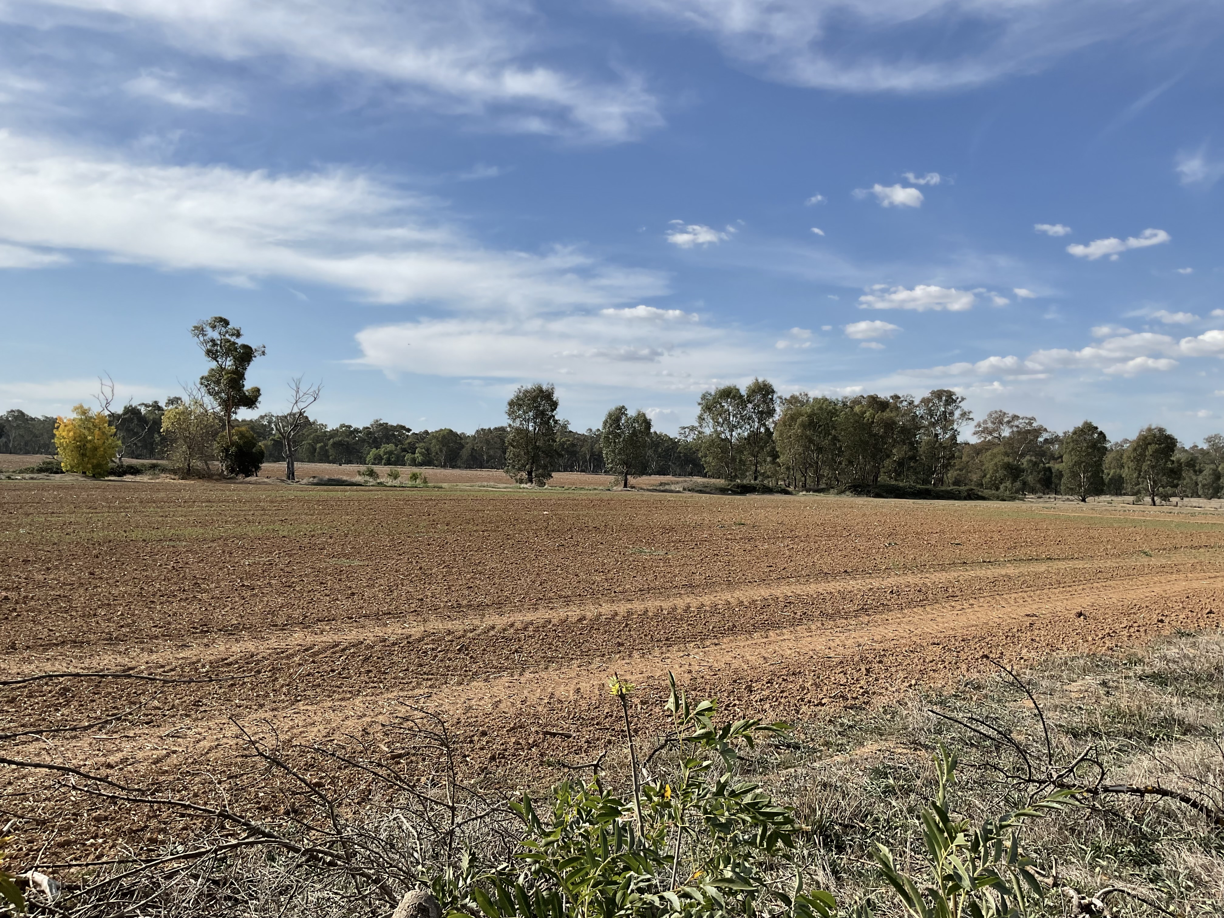 Farming/Lifestyle Block