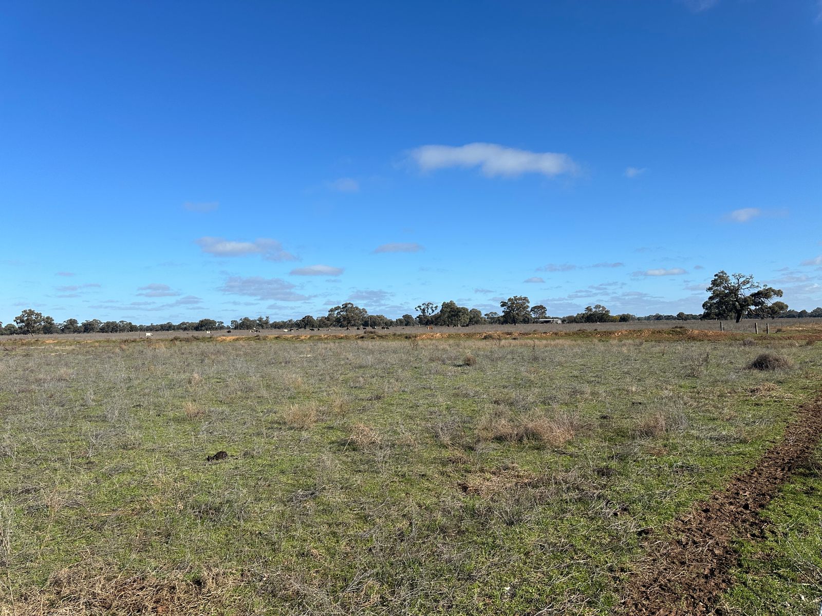 Prime Grazing Block with Irrigation Infrastructure