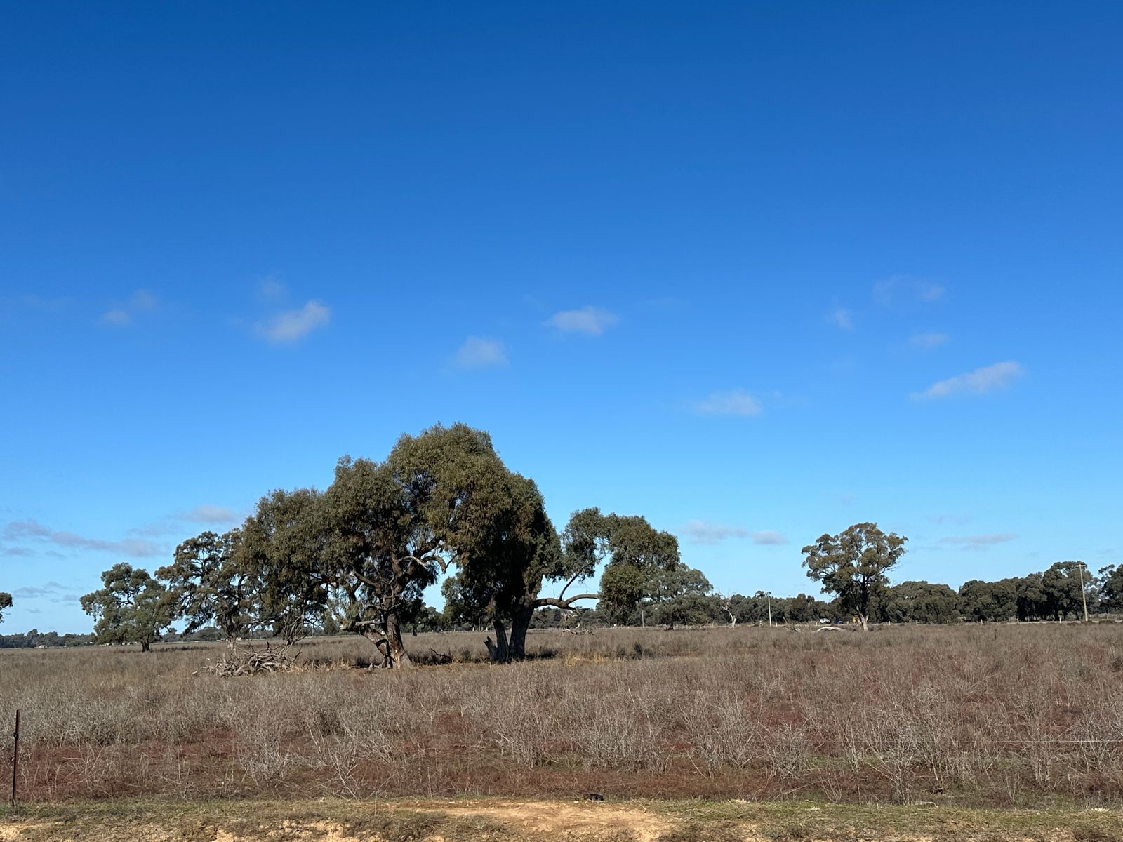 Prime Grazing Block with Irrigation Infrastructure