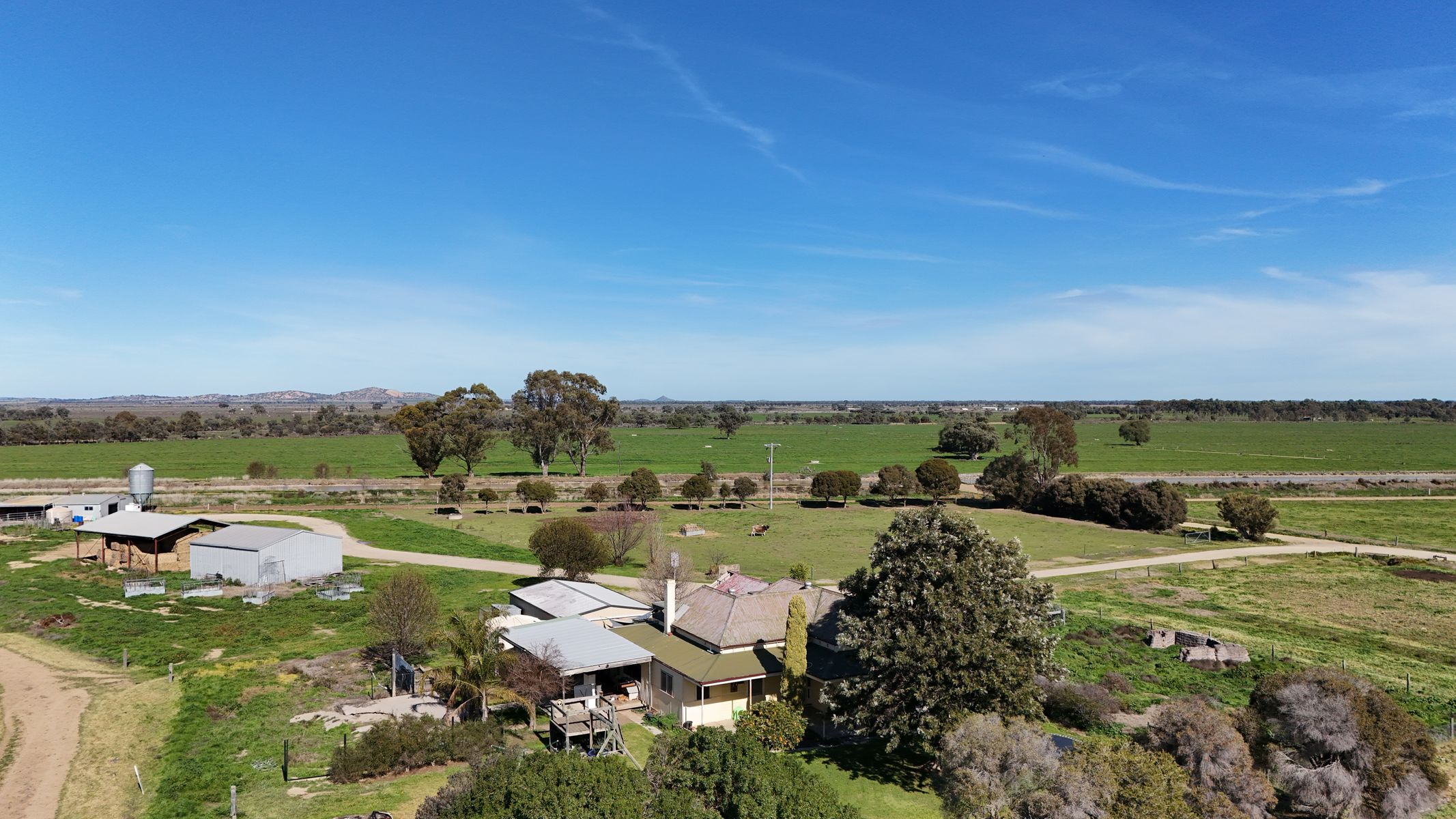Stunning 194-Acre Dairy Farm with Modern Amenities and Spacious Home