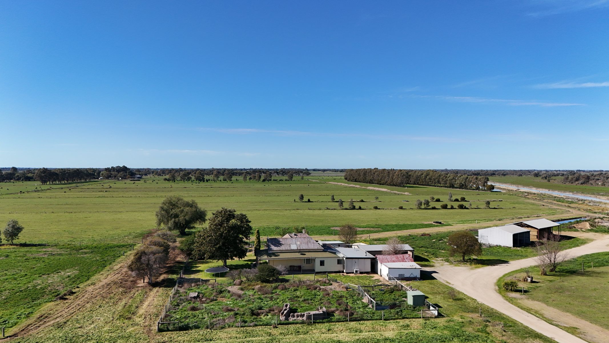 Stunning 194-Acre Dairy Farm with Modern Amenities and Spacious Home