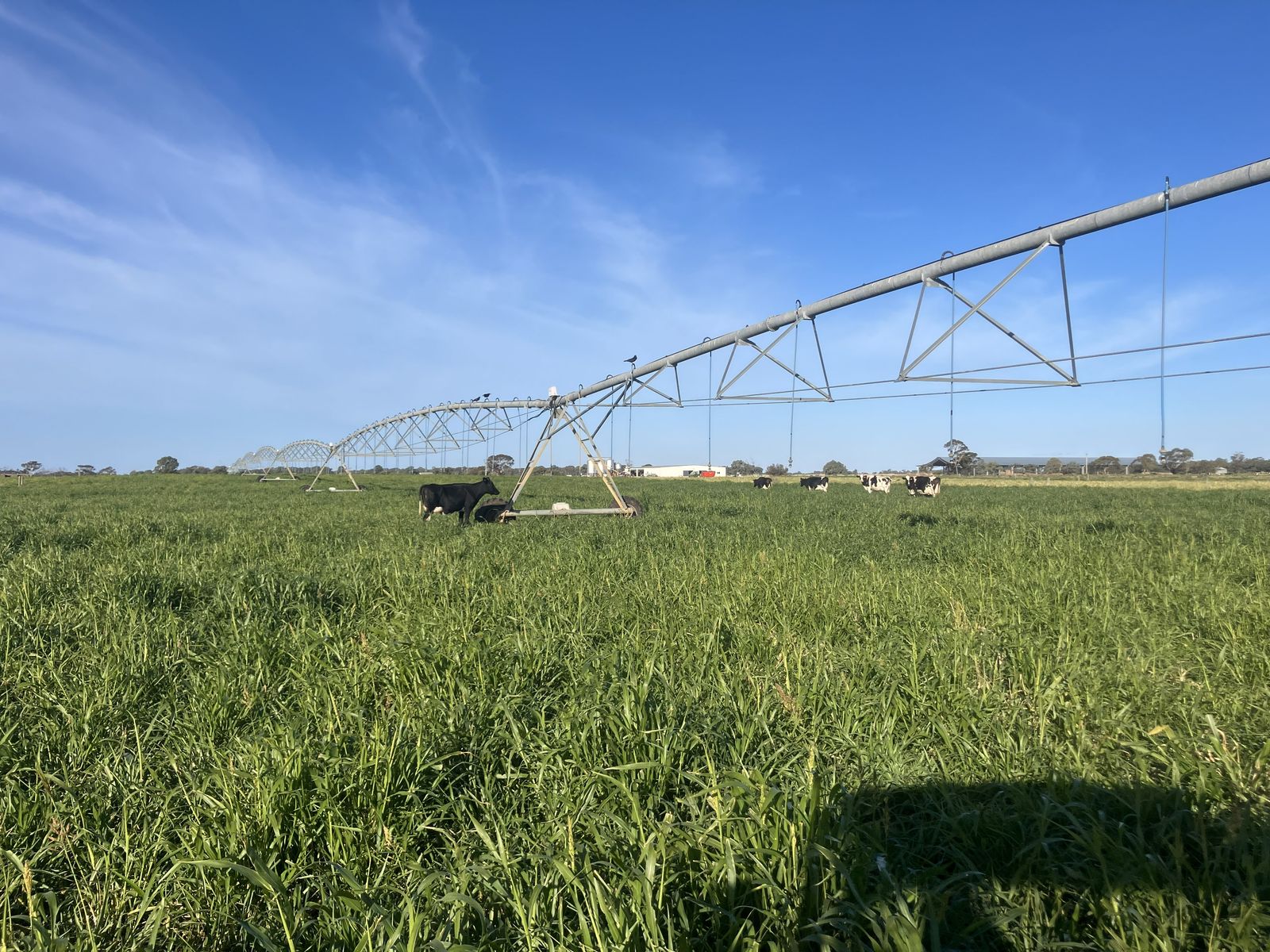 Large Scale Irrigated Dairy Aggregation with River Frontage