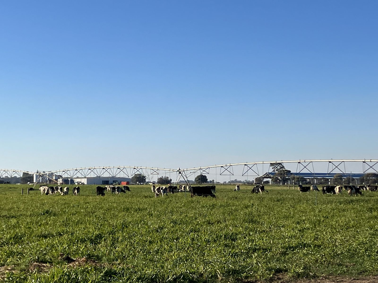 Large Scale Irrigated Dairy Aggregation with River Frontage
