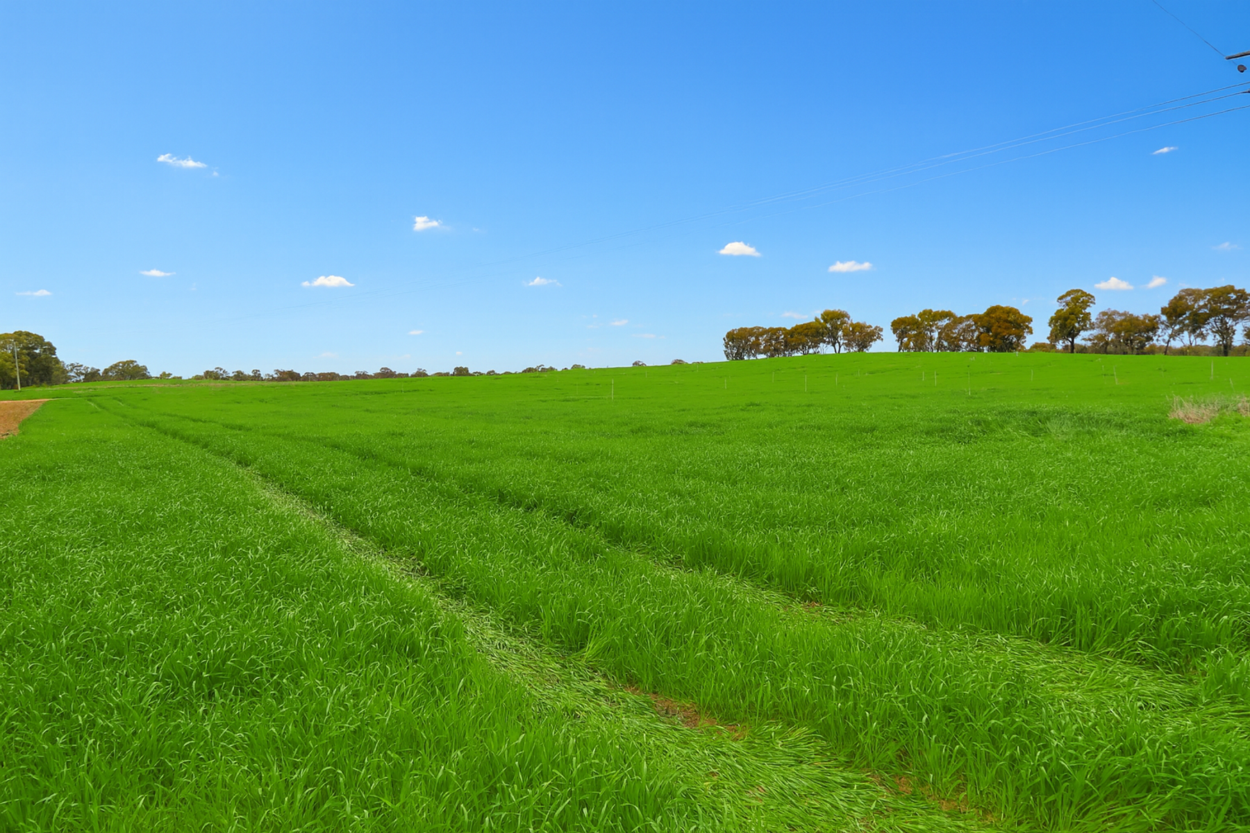 Prime Opportunity on Gunbower Lagoon