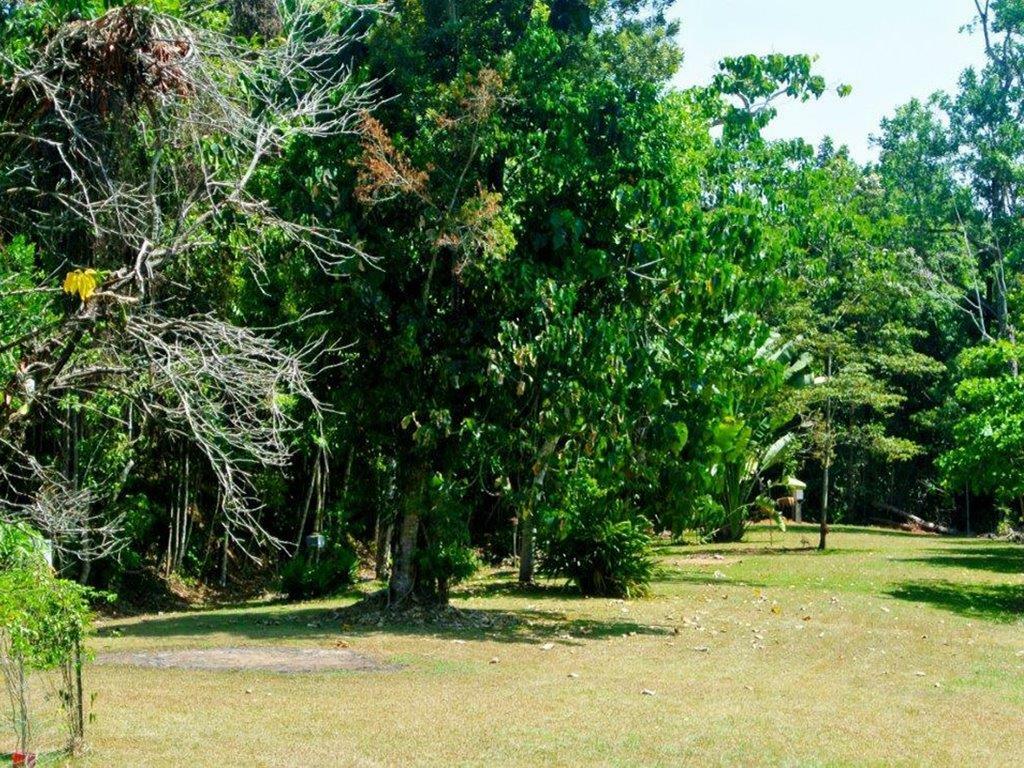 FREEHOLD TROPICAL RAINFOREST - COASTAL PARK RETURNING 15% - 1039CPF
