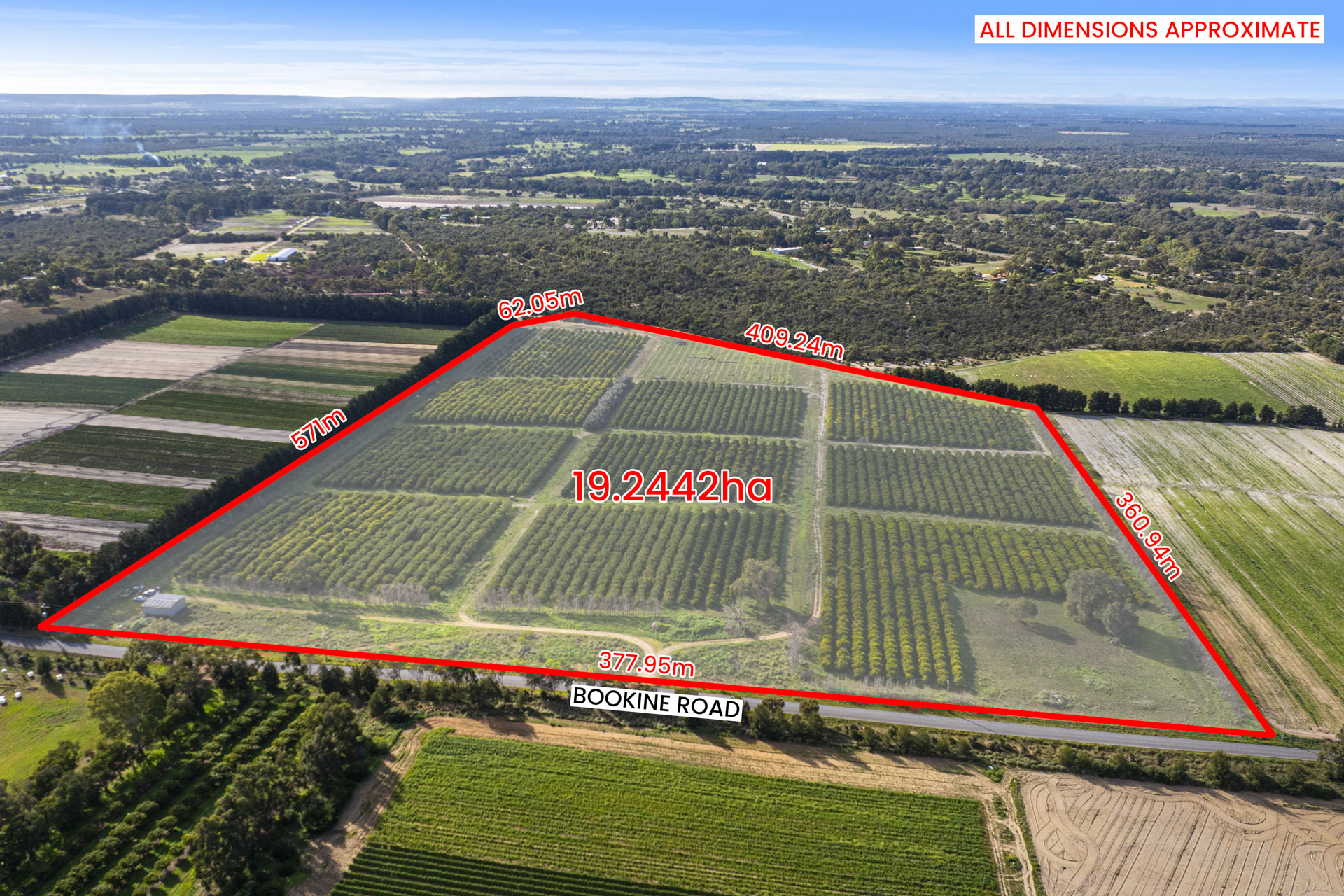PREMIUM CITRUS ORCHARD ON BOOKINE ROAD!