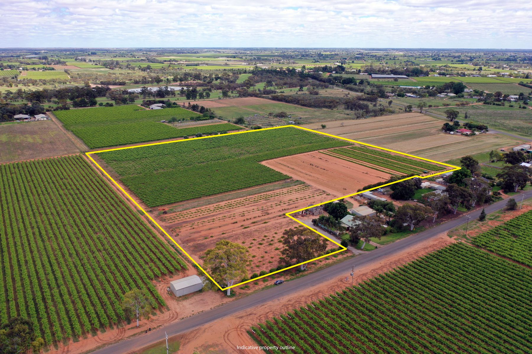 IRYMPLE VINEYARD & NURSERY