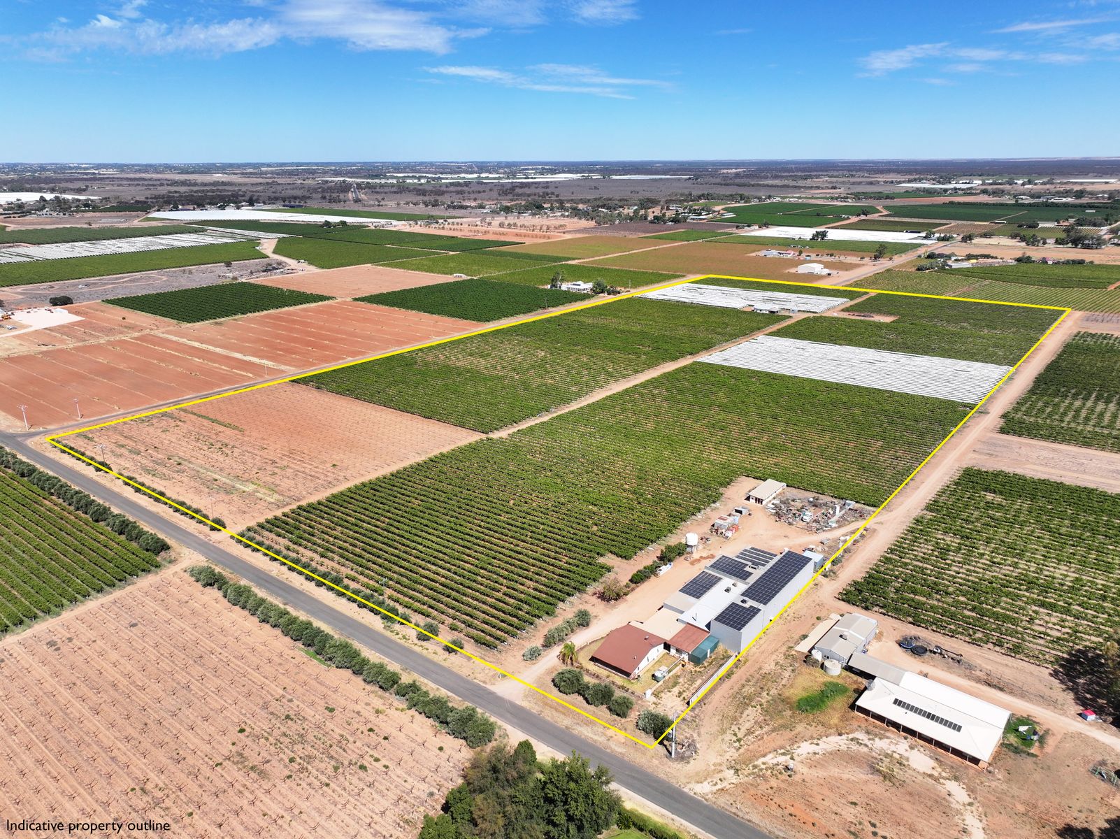 QUALITY TABLE GRAPE PROPERTY ON 2 TITLES