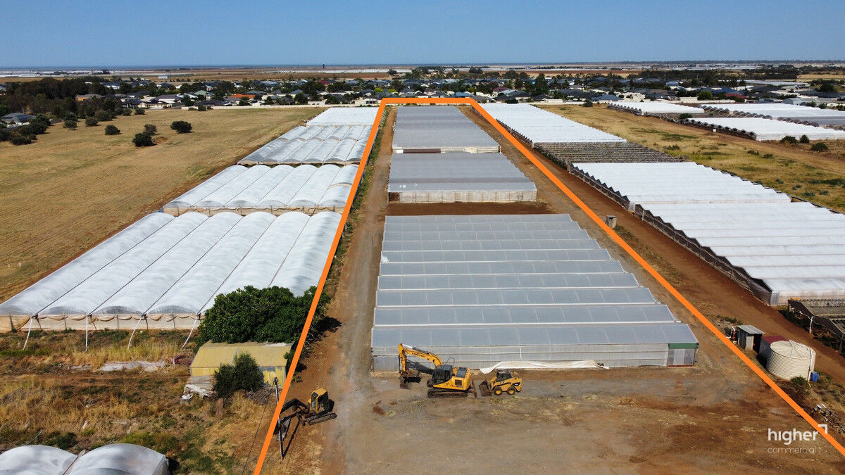 Fully-Equipped Agricultural Hot House Facility